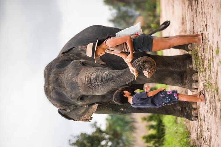 Elephant Jungle Sanctuary Pattaya — Half-Day Morning Program Guide photo 5