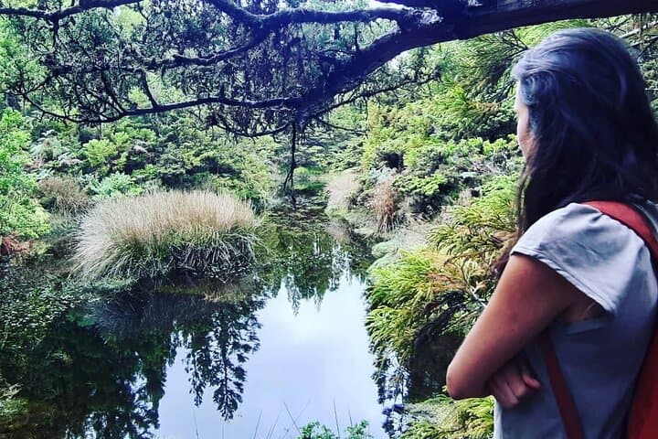 Mistérios Negros Hike — Lagoa do Negro, Pico do Gaspar & Volcanic Domes on Terceira photo 2