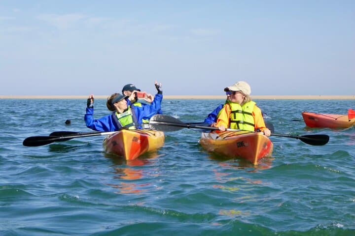 Kayak with the Pelican Point Seal Colony: Half-Day Tour from Walvis Bay photo 2