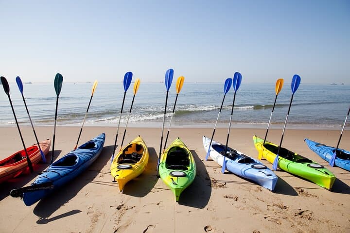 Kayak with the Pelican Point Seal Colony: Half-Day Tour from Walvis Bay photo 6