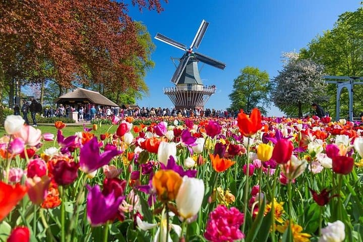 Skip-the-Line Keukenhof Gardens Tour: Tulip Fields & Spring Blooms from Amsterdam photo 2