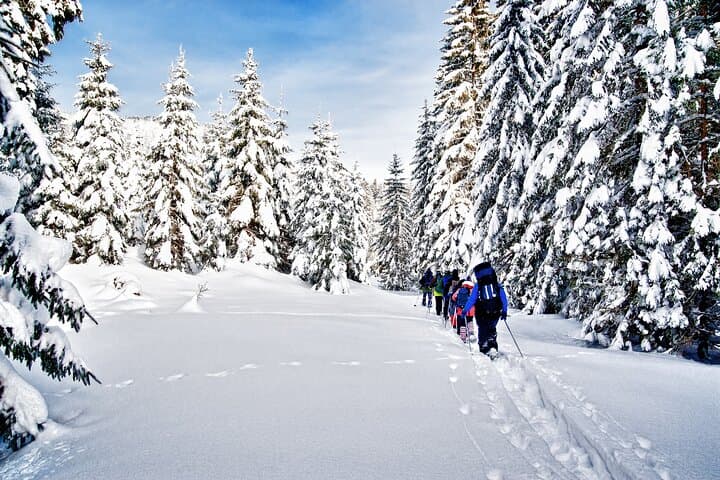 Snowshoeing in Levi: Guided Winter Walks on the Finnish Fells photo 2