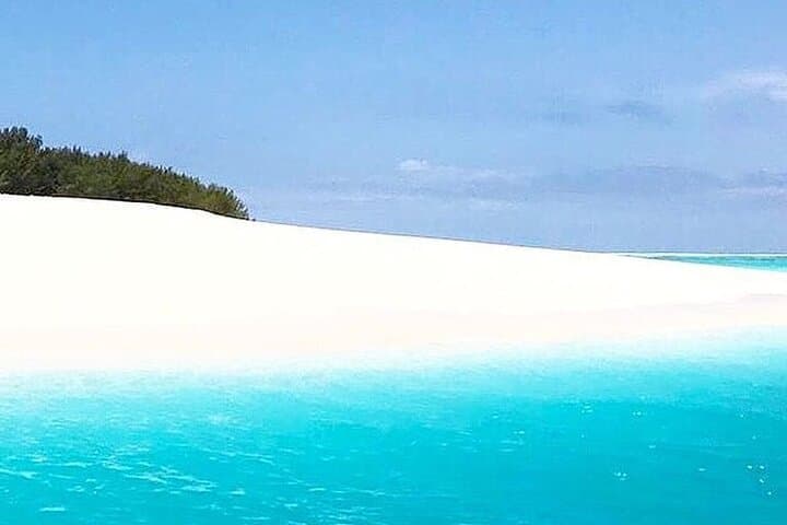 Full-Day Zanzibar: Mnemba Snorkel, Jozani Monkeys, Kuza & The Rock photo 5