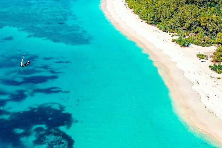 Mnemba Dolphin & Spice Island Day Tour from Stone Town — Snorkel Mnemba Atoll, Prison Island & Spice Farm