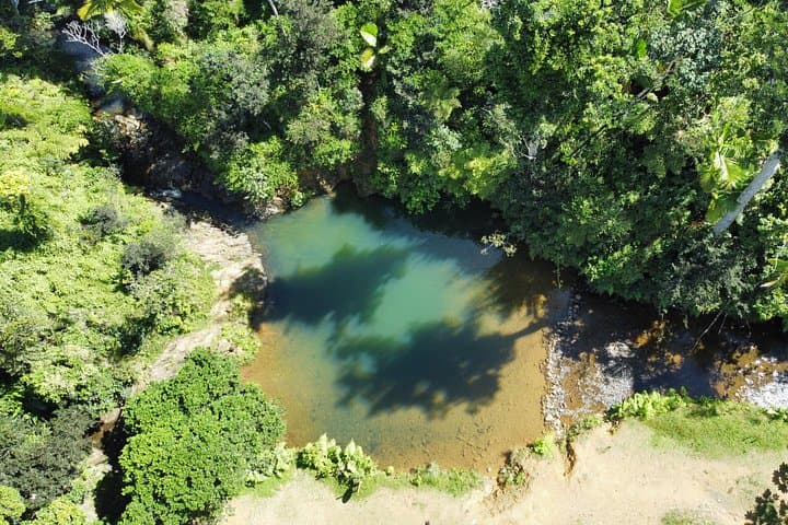 Guavate Pig Road & Charco Azul River Tour from San Juan — Lechoneras and Natural Pools photo 3