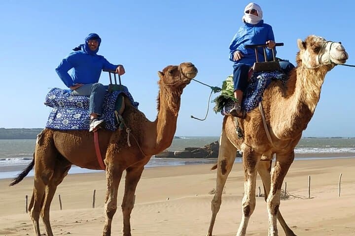 Essaouira 3-Hour Camel Ride: Sunset Beaches, Dunes & Local Culture photo 3