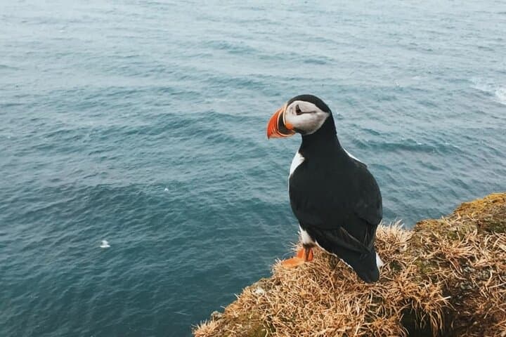 7-Day 4x4 Campervan Self-Drive Itinerary: Westfjords & West Coast Iceland photo 5