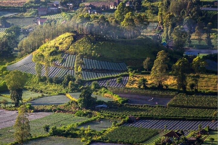 Mount Batur Sunrise Trek: Guided Hike, Summit Breakfast & Natural Hot Springs photo 4