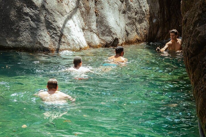 Puerto Vallarta Waterfall Hike — River Trail, Jungle Flora and a Freshwater Swim photo 6