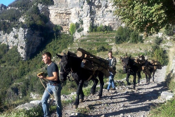 Path of the Gods Guided Hike: Agerola to Nocelle with Transfers photo 6