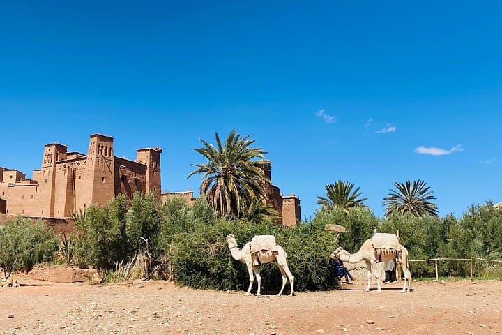 2-Day Ouarzazate and Ait Ben Haddou Kasbah Tour from Marrakech