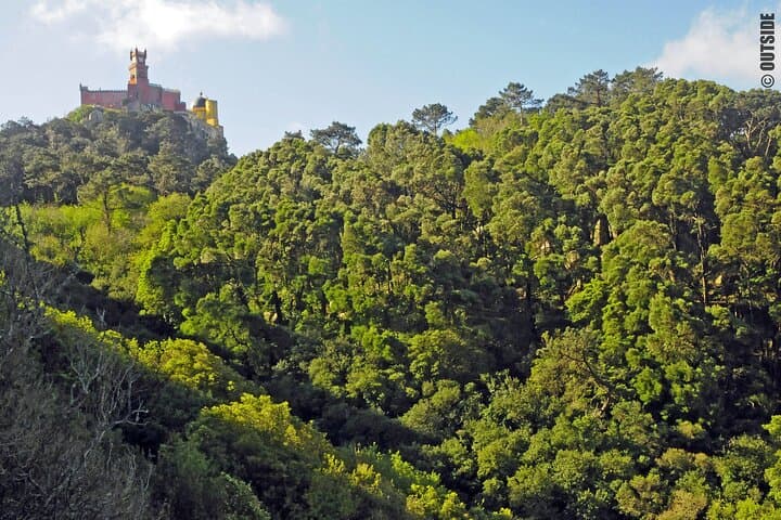 Rock Climbing at Penedo da Amizade — Sintra Day Climb with Views of Pena Palace
