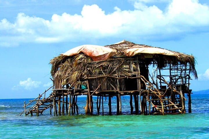 Discover Jamaica's Unique Charm: Pelican Bar & Rick's Cafe Tour