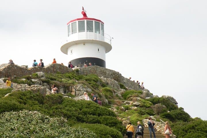 Drive the Cape Peninsula: Cape Point, Chapman's Peak & Seal Island Ferry photo 6
