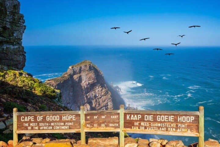 Drive the Cape Peninsula: Cape Point, Chapman's Peak & Seal Island Ferry