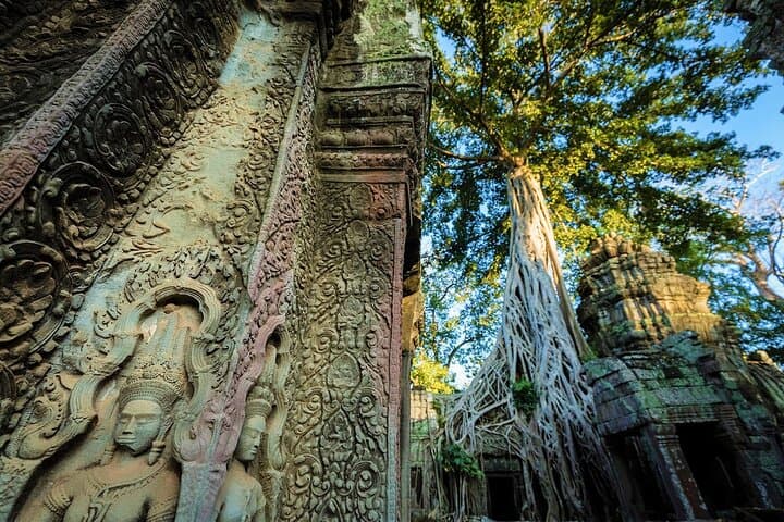 Angkor Wat Sunrise & Highlights: Private Full-Day Temple Tour from Siem Reap photo 5