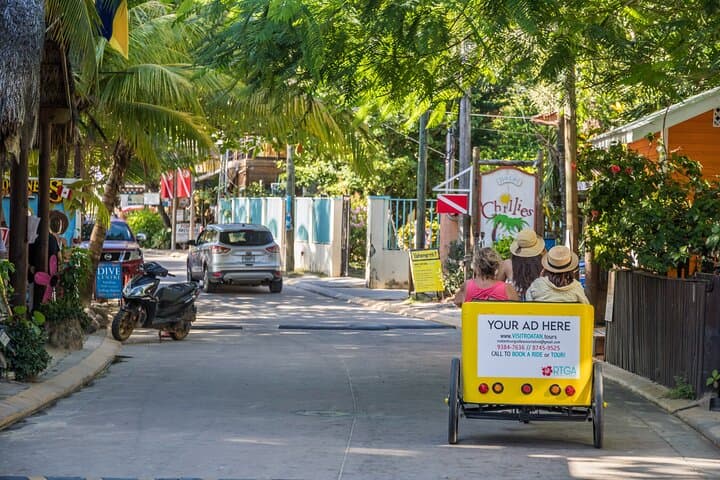 Pedibike Bar Crawl in West End Village, Roatán — Pedal-Powered Pub Tour photo 2