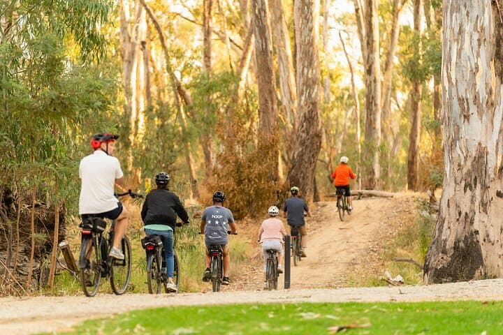 Full-Day E-Mountain Bike Hire on the Murray River: Echuca to Moama Trails photo 3