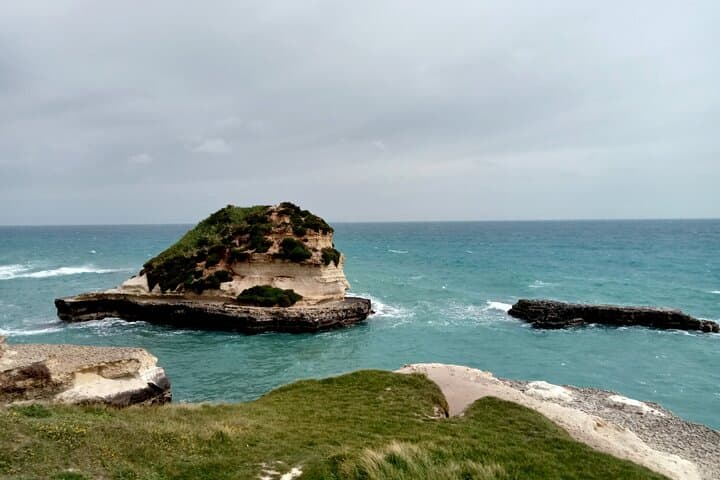 Coastal Hike and Foraging on the Melendugno Cliffs: Guided 8km Walk with Local Lunch photo 3