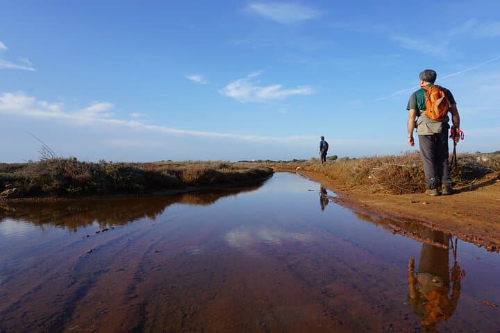 Coastal Hike and Foraging on the Melendugno Cliffs: Guided 8km Walk with Local Lunch photo 6