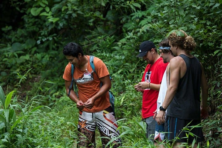 Trek to a Jungle Waterfall near Chiang Mai — 3-Hour Jungle Hike & Swim photo 4