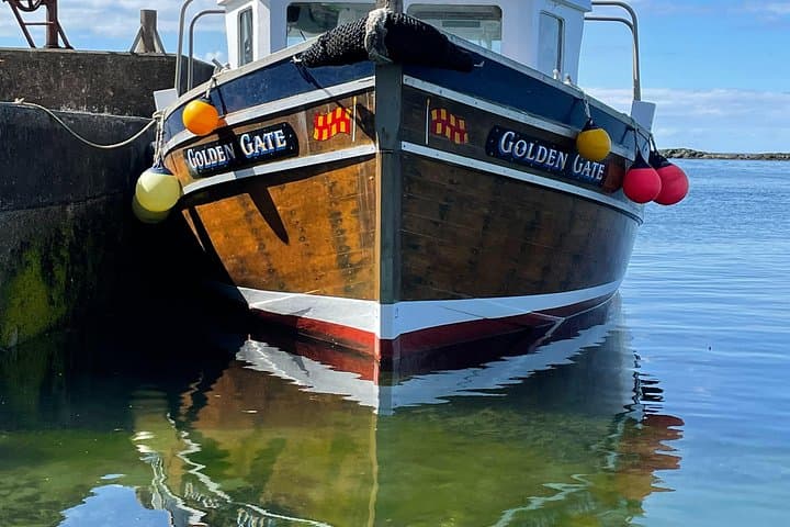 Farne Islands Longstone Lighthouse Tour from Seahouses — Grace Darling, Seals & Seabirds photo 6