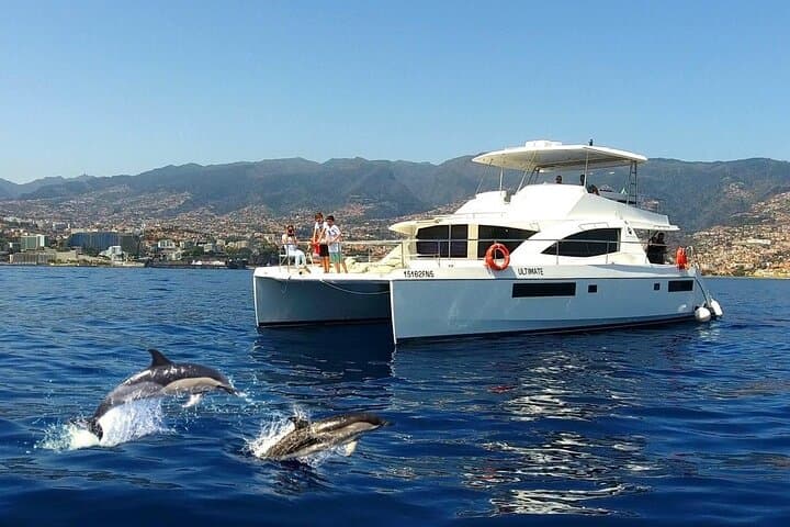 VipDolphins Luxury Whale Watching from Funchal: Dolphin & Whale Cruise