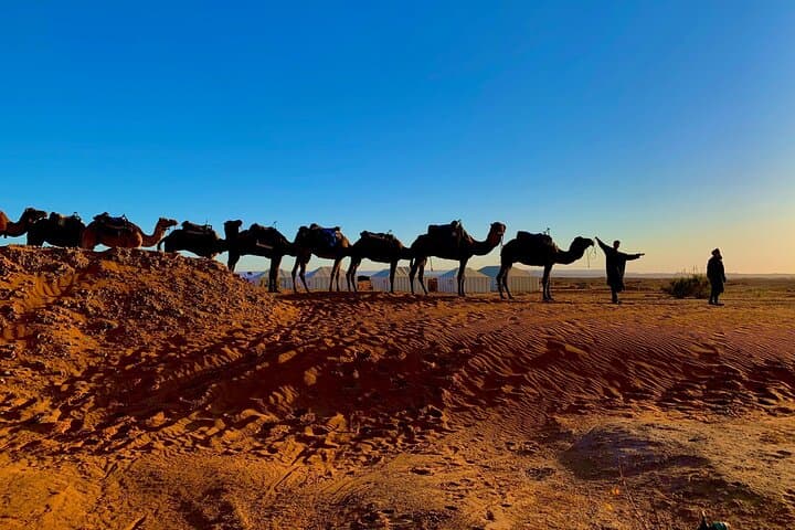 3-Day Shared Sahara Desert Tour from Marrakech to Merzouga (Erg Chebbi) photo 6
