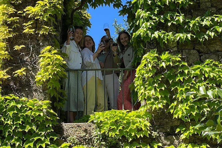 Douro Valley Wine Day Trip: 3 Tastings, Lunch & Optional River Cruise from Porto photo 4