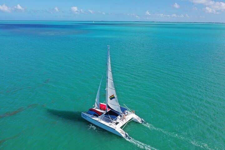 Key West Dolphin Watch & Sunset Sail Aboard a 42-Foot Catamaran photo 5