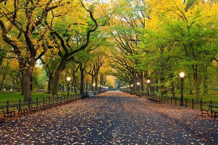 Central Park Self-Guided Scavenger Hunt — Explore NYC's Iconic Park at Your Pace photo 6