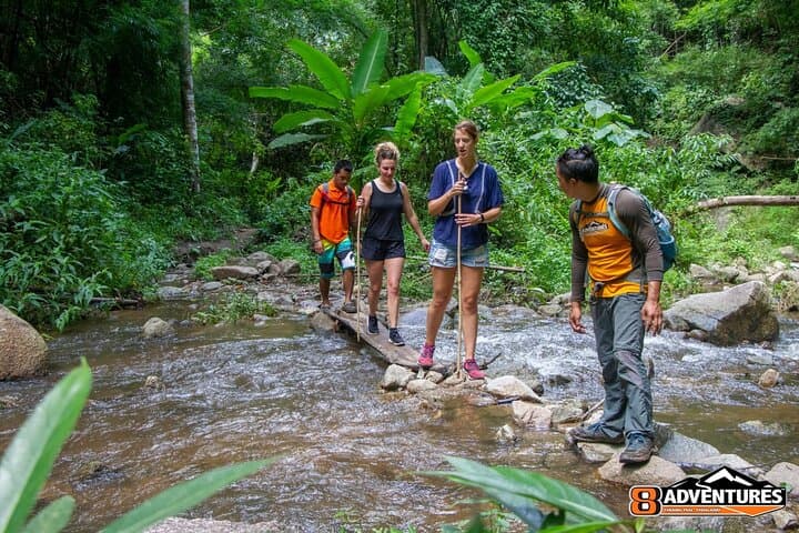 Trek to a Jungle Waterfall near Chiang Mai — 3-Hour Jungle Hike & Swim photo 1
