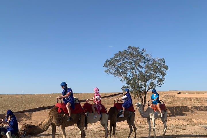 Agafay Desert & Atlas Mountains Day Trip from Marrakech with Camel Ride photo 3