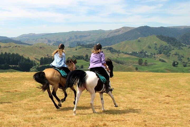 Rangitikei Canter: Half-Day Bitless Horsemanship Ride at River Valley Stables photo 2
