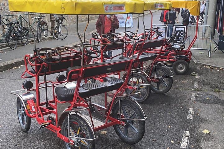 Pedal the Rosalie at Versailles: 1-Hour Lakeside Rental photo 5
