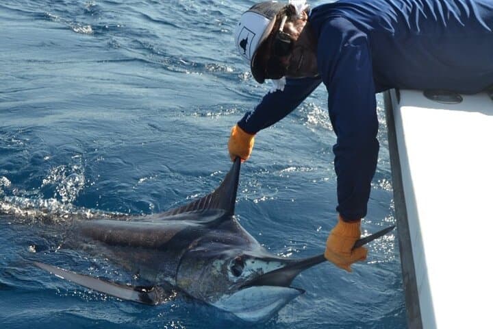 Tamarindo Full-Day Sportfishing Charter Aboard the Rhino Charger photo 4