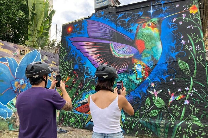 Sao Paulo Street Art and Park Bike Tour — Paulista to Ibirapuera by Bike