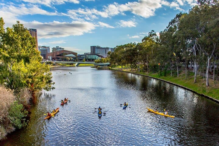 Paddle Karrawirra Parri: 90-Minute Adelaide City Kayak Tour photo 3