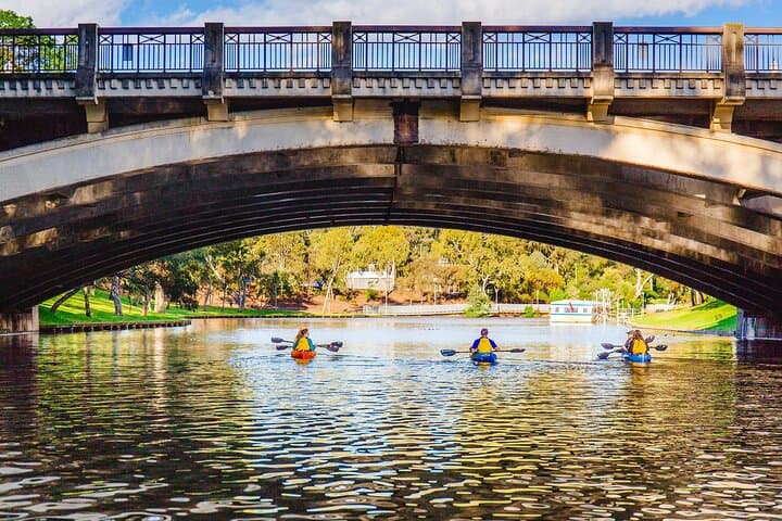 Paddle Karrawirra Parri: 90-Minute Adelaide City Kayak Tour photo 6