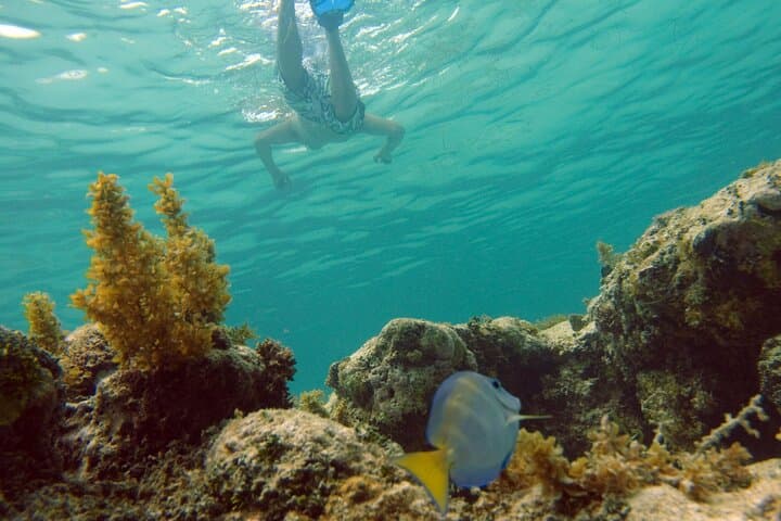 Punta Cana Happy Hour Party Boat & Snorkeling Cruise photo 5