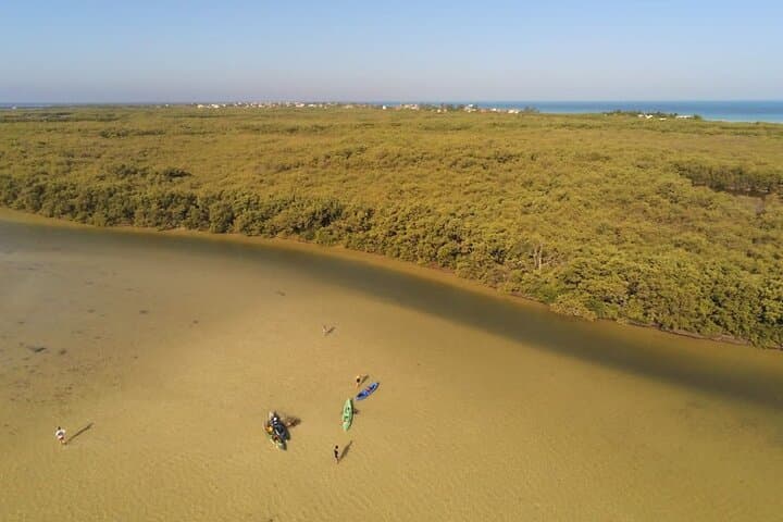 Paddling the Mangroves: Kayak Experience in Holbox Island photo 2