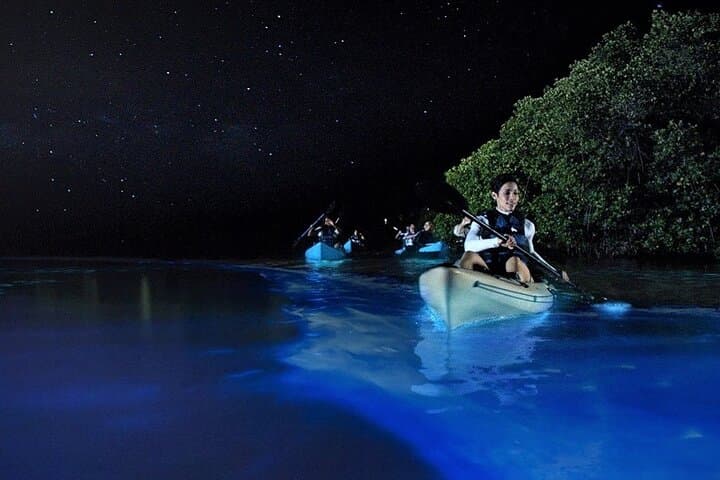 Kayak Bioluminescence Tour in Holbox: Night Paddle to Punta Mosquito