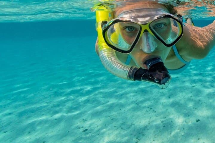 Roatan Snorkeling Tour — Marine Park Reef Snorkel with Turtle Encounters