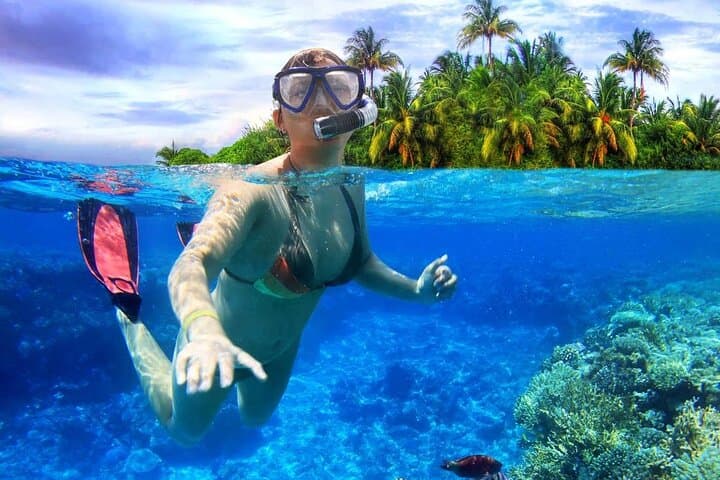 Roatan Snorkeling Tour — Marine Park Reef Snorkel with Turtle Encounters photo 3