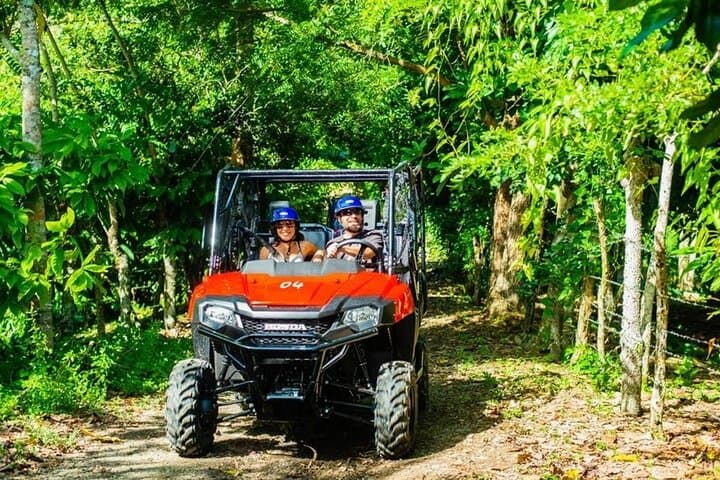 Punta Cana Jungle Buggies & River Swim: Anamuya 4x4 Adventure and Coffee Farm Visit photo 5