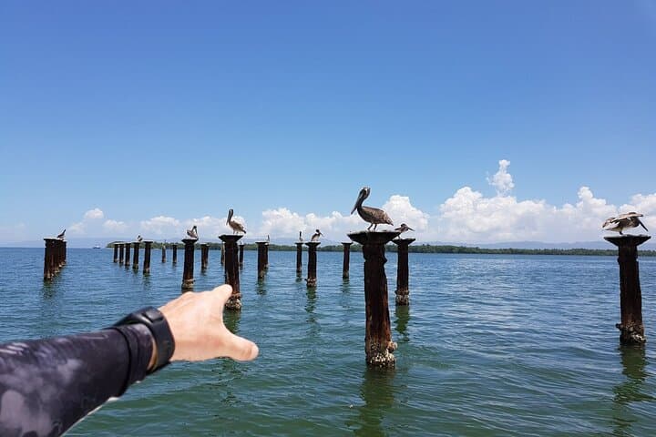 Cayo Levantado & Los Haitises Day Trip from Punta Cana — Montaña Redonda, Snorkel & Mangroves photo 3