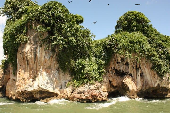 Cayo Levantado & Los Haitises Day Trip from Punta Cana — Montaña Redonda, Snorkel & Mangroves photo 4
