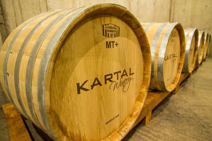 Premium Oak-Aged Wine Tasting at Kartal Family Winery, Skopje photo 2