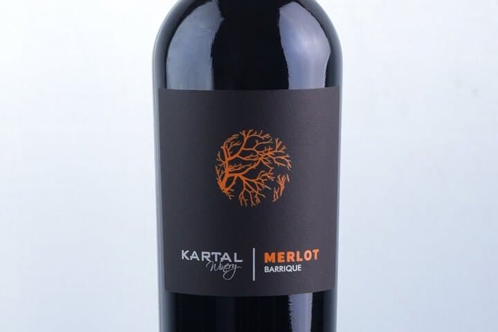 Premium Oak-Aged Wine Tasting at Kartal Family Winery, Skopje photo 3