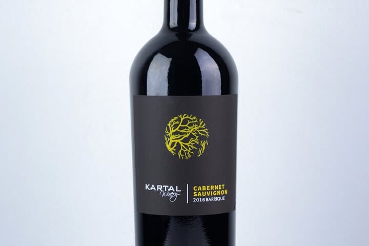 Premium Oak-Aged Wine Tasting at Kartal Family Winery, Skopje photo 4
